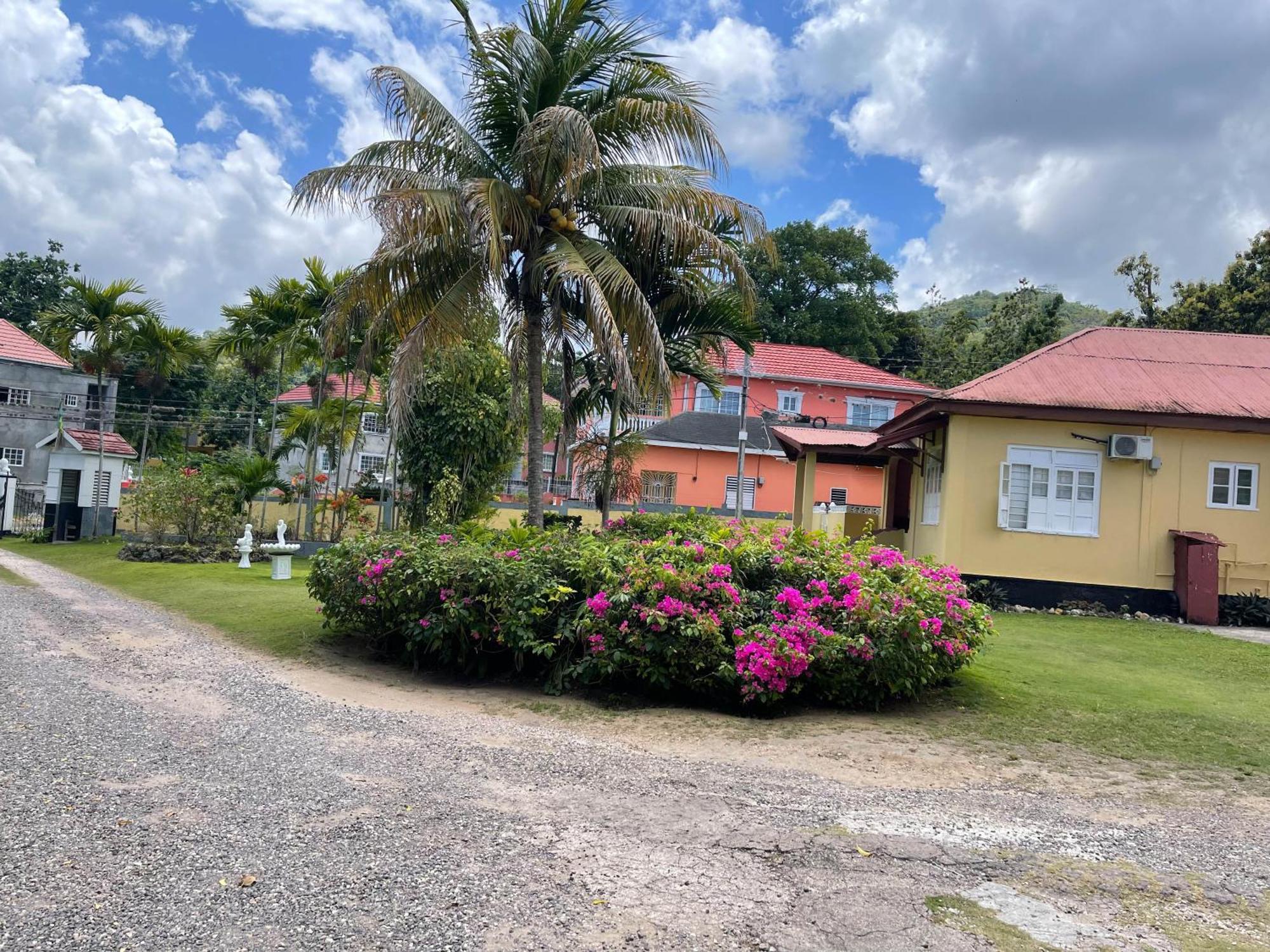 Little Shaw Park Guest House Ocho Rios Exterior foto
